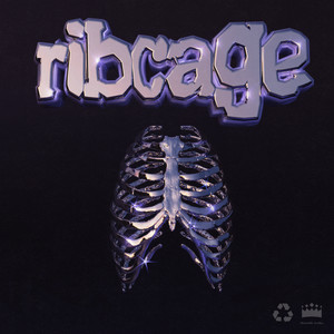 ribcage