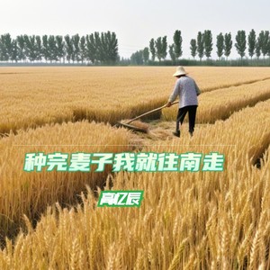 高忆辰 - 种完麦子我就往南走 (伤感版)