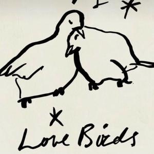 lovebirds (feat. cashavist) [Explicit]