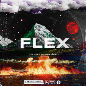 FLEX Mixtape