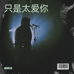 只是太爱你