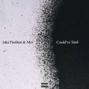 Could've Said (Remix) (Remix) [Explicit]