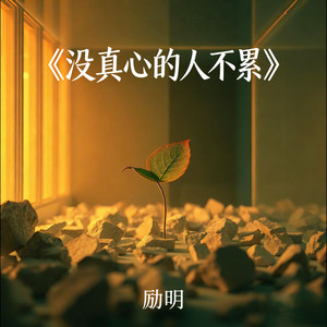 没真心的人不累