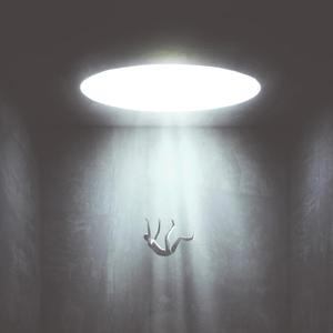 stupid lies (feat. FRENEMIE)