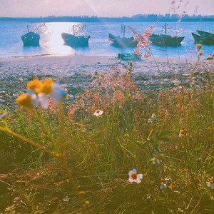 一起去海边 (Demo)