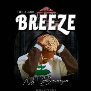 Breeze the Album