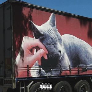 Large Amounts (Meow) (Explicit)