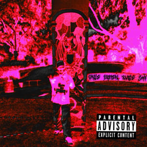 talkin **** (feat. DCM.THA.ARTIST & Brodie Dude) (Explicit)