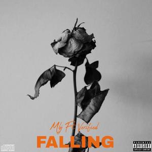 Falling (feat. Verified)