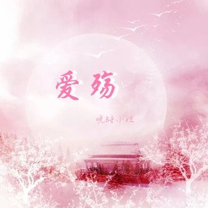 晚睡小姐 - 爱殇