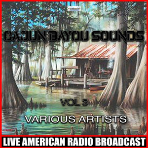 Cajun Bayou Sounds, Vol. 3