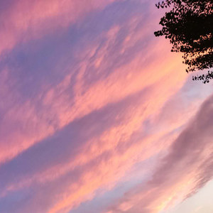 Sakura Ninjia (Demo)