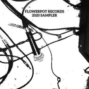 Flowerpot Records 2020 Sampler (Explicit)