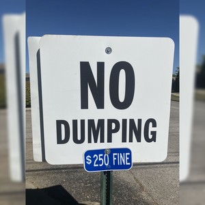 Benihana teriyaki (Explicit)