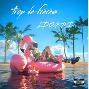 Trop de Freres (feat. Rmd) (Explicit)
