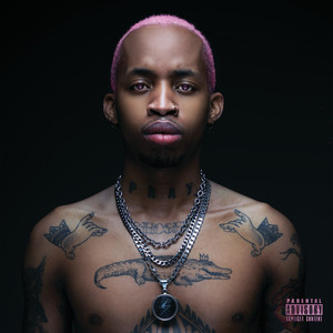 Pink Panther (Explicit)