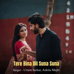 Tere Bina Dil Suna Suna