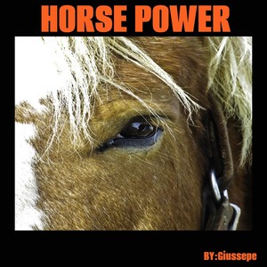 Horse Power