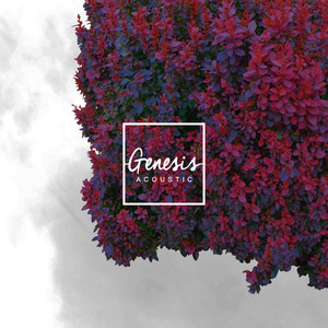 Genesis (Acoustic)