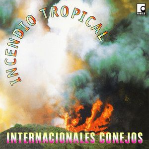 Incendio Tropical