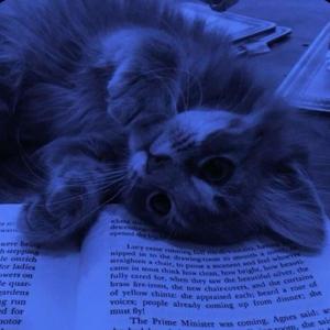 WHERE IS HOME? (feat. TJ Shumway) (Explicit)