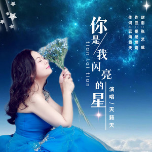 你是我闪亮的星伴奏 (天籁DJ版)