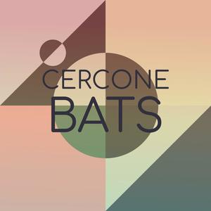 Cercone Bats