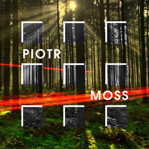 Piotr Moss