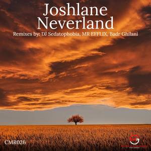 Neverland (Remix)