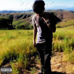 liver (feat. 07calil) (Explicit)