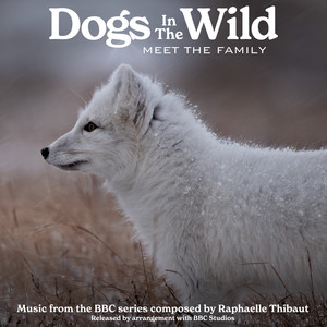 Dogs In The Wild: Meet The Family (Music from the BBC Series) (野犬家族 纪录片原声带)