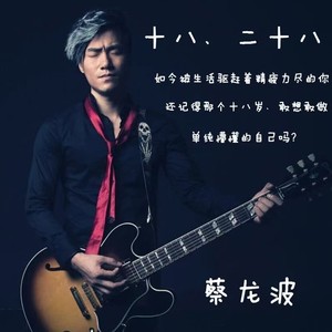 十八二十八