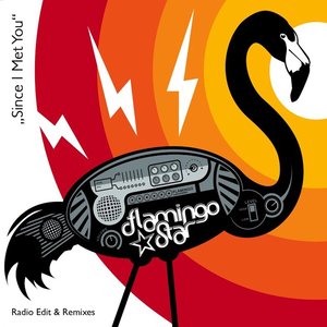 Since I Met You (Chameleon Prince Marshall Mix)