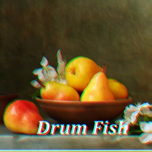 Drum Fish