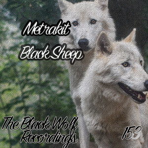 Black Sheep (Original Mix)