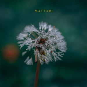 Mattari