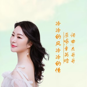冷冷的风冷冷的情DJ