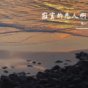 寂寞的恋人啊 (Live)