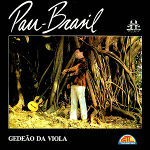 Pau-Brasil