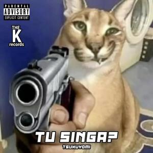 Tu Singa? (Explicit)