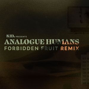 Analogue Humans (Forbidden Fruit remix)