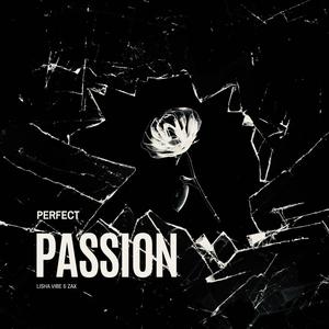 Perfect Passion (feat. ZaX)