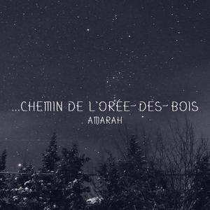 ...Chemin de l'Orée-Des-Bois