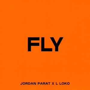 Fly