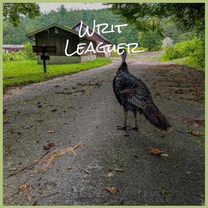 Writ Leaguer