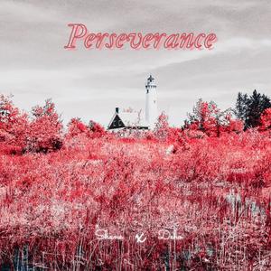 Perseverance (feat. deho) (Explicit)