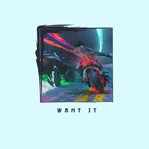 Want It (Explicit)