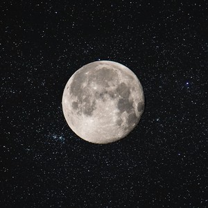 The Female of the Species