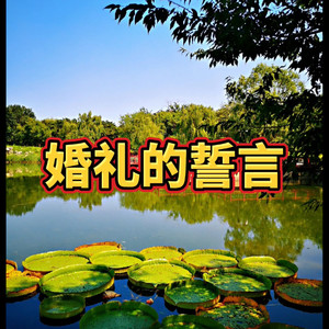 老男孩 (甜蜜版)