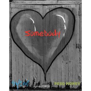 Somebody (feat. Peso Money) [Explicit]